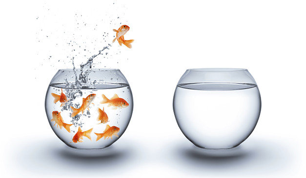 Goldfish jumping from crowded fishbowl to empty fishbowl